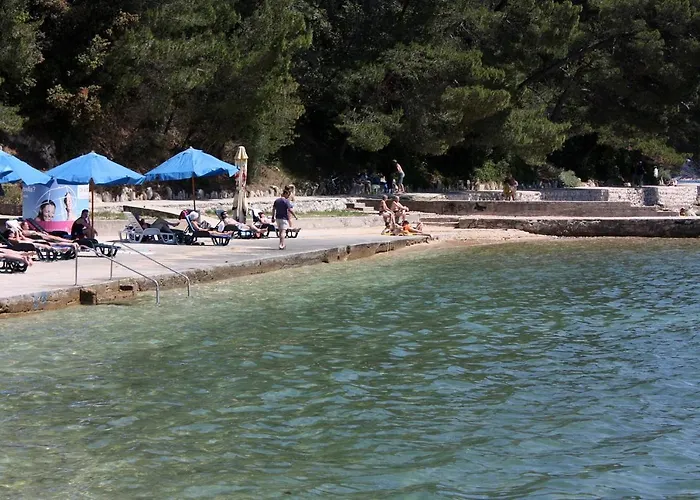 Apartment Studio Palit 3195d